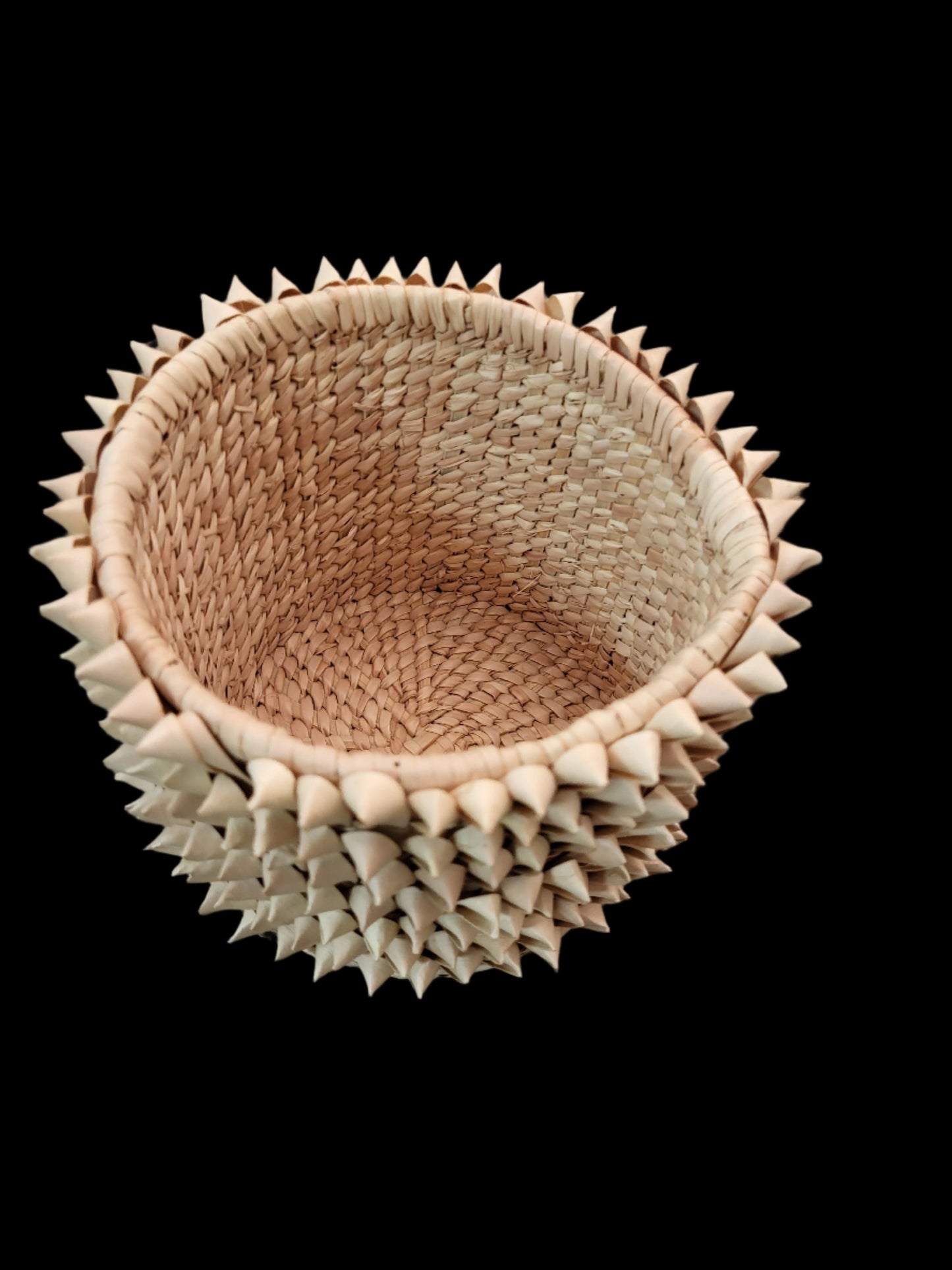 Porcupine Basket Planter Top View