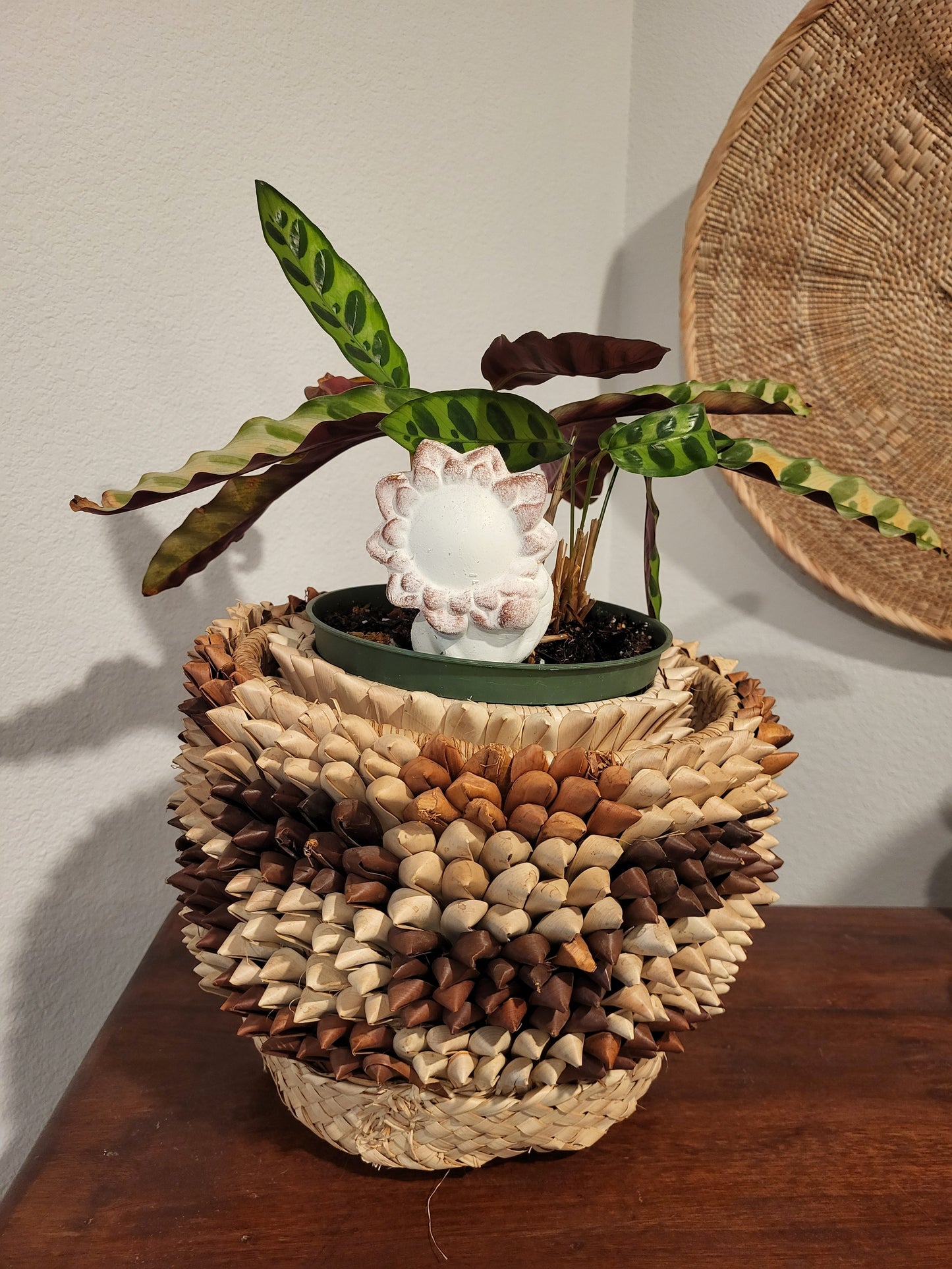 Planter Basket with Plant
