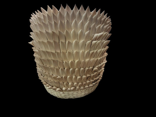 Large Porcupine Planter